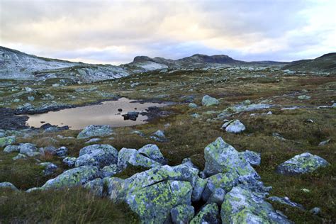 hardangervidda plateau